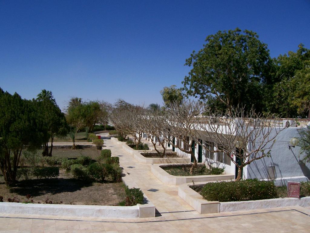 Nefertari Hotel Abu Simble Abu Szimbel Kültér fotó