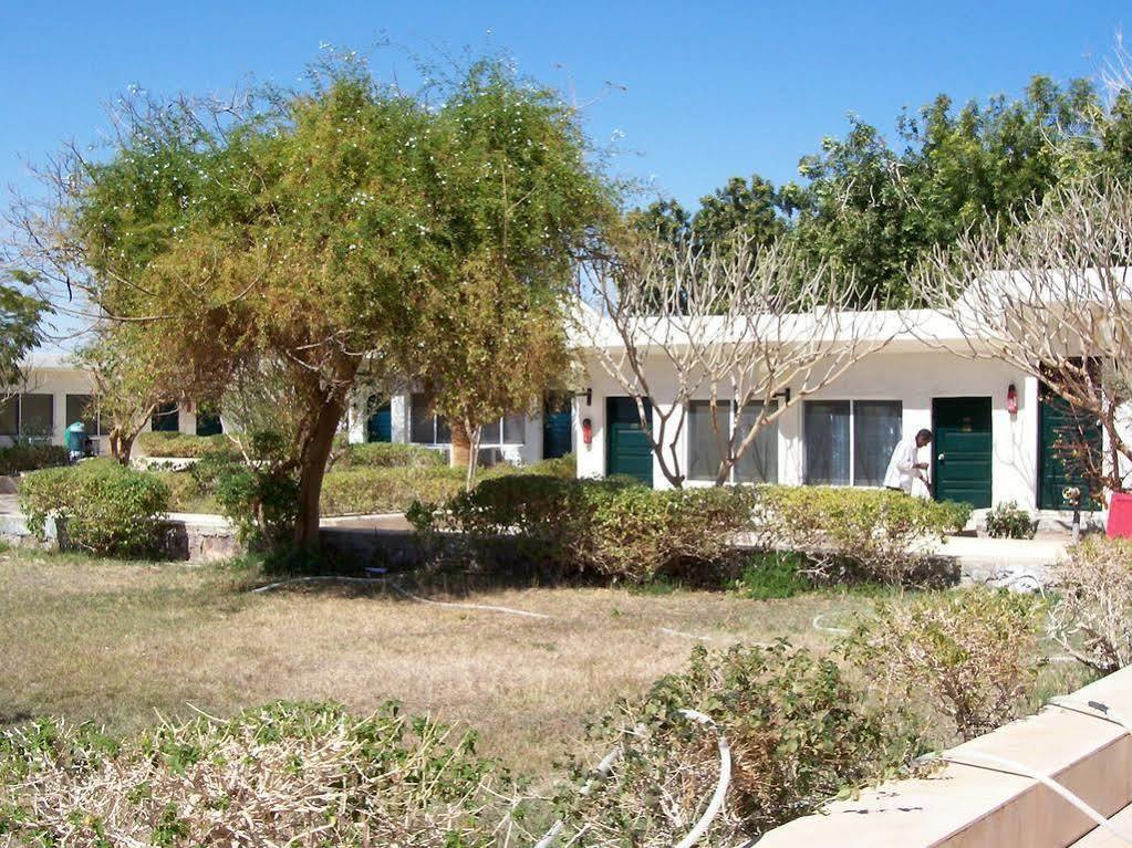 Nefertari Hotel Abu Simble Abu Szimbel Kültér fotó