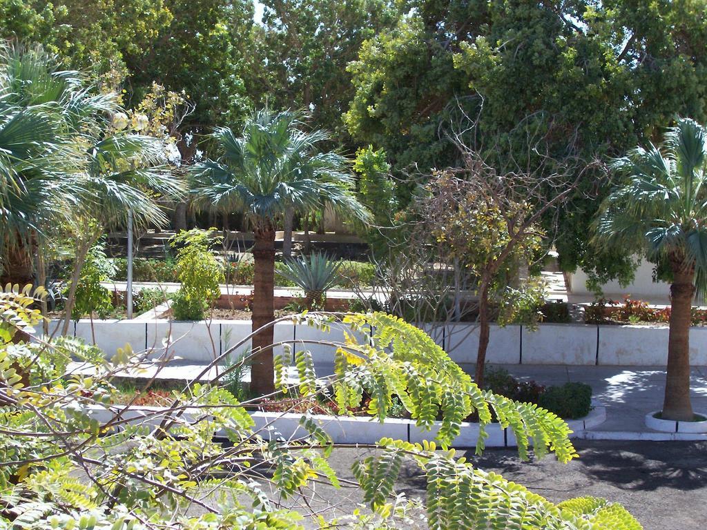 Nefertari Hotel Abu Simble Abu Szimbel Kültér fotó